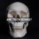 Are Teeth Bones?