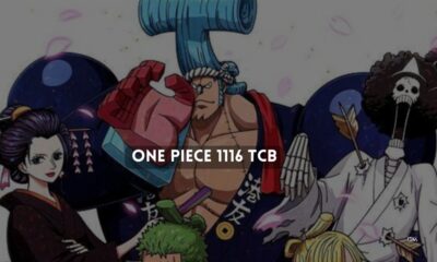 One Piece 1116 tcb
