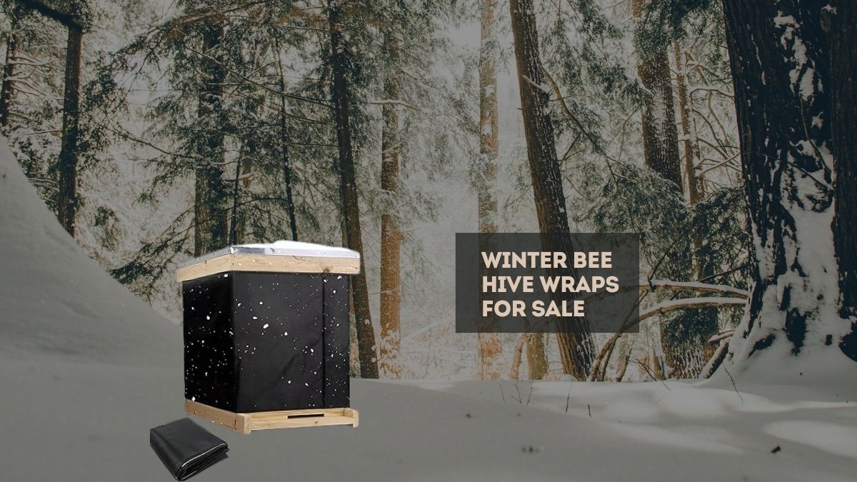 winter bee hive wraps for sale